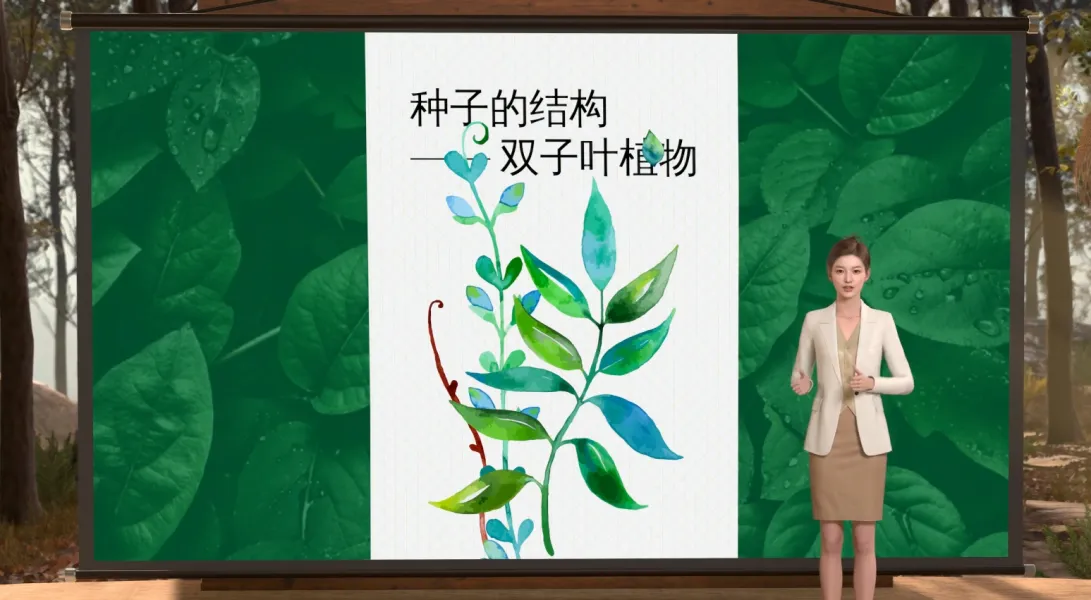 种子植物微课