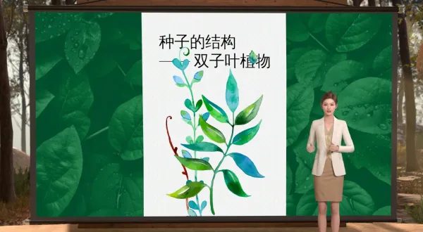 种子植物微课