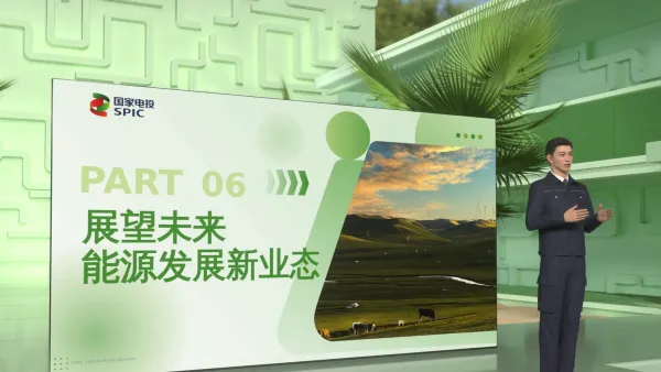 能源企业战略分享