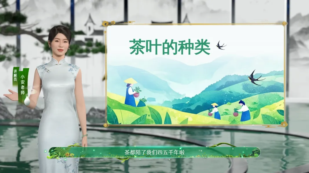 中国茶叶种类科普